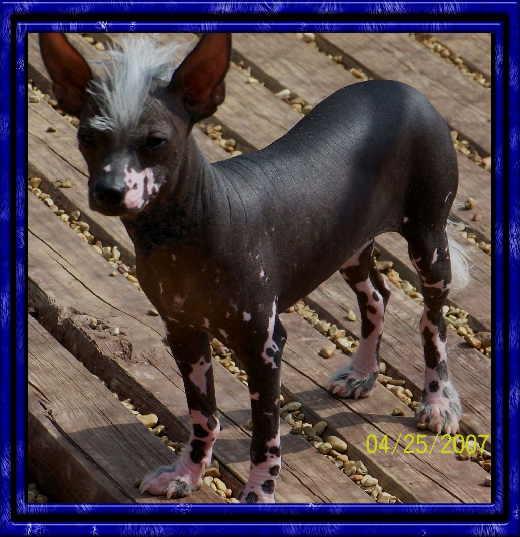 Lakeside Prince Of Tides