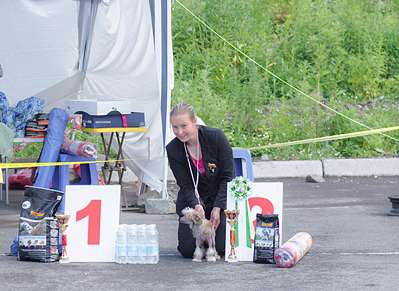 Fantazya iz Strany Kutha