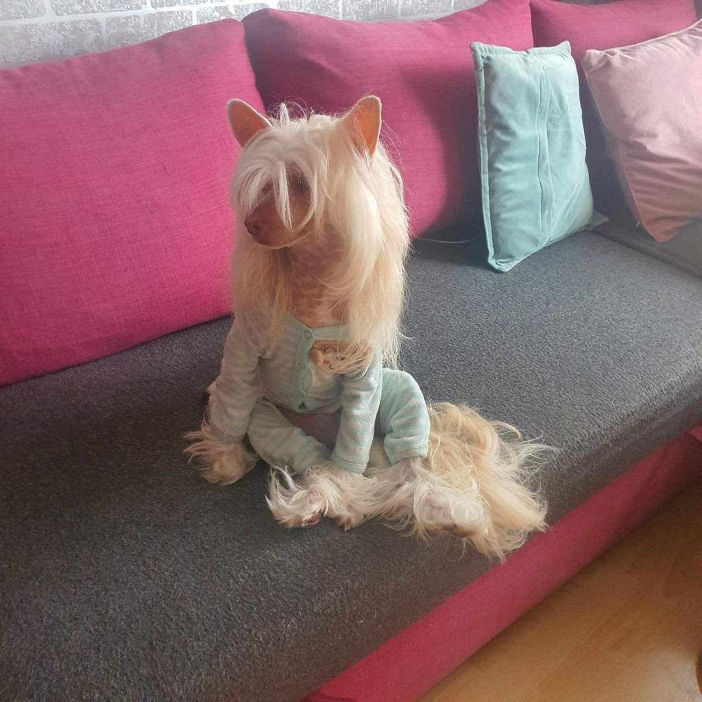 Cosas De La Vida Magma