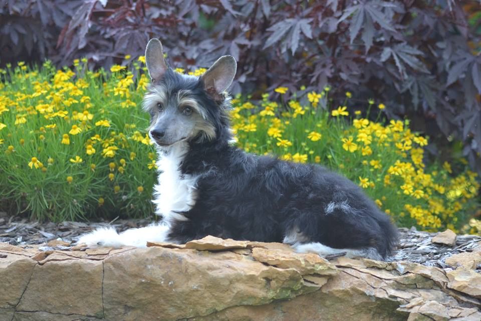 Delende 4-Reil Don't Blame Me