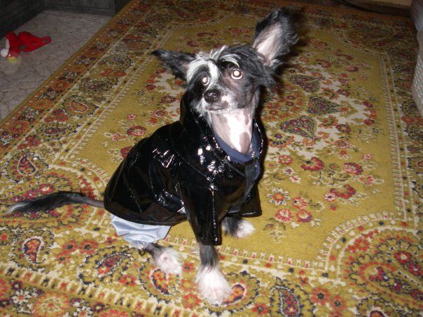 Rus Foreva Pancho fon Kastel