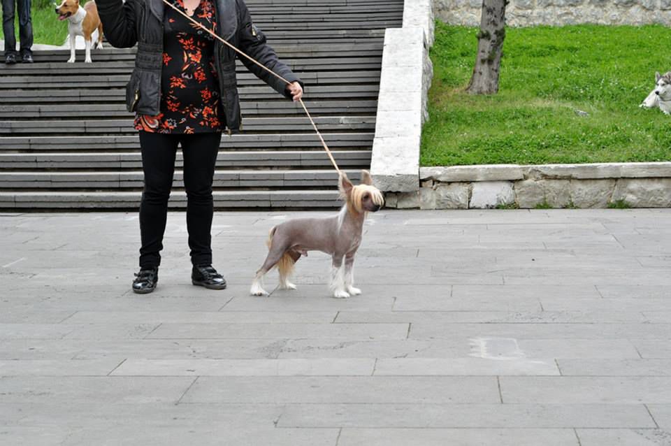Hozyain Moego Serdtsa Iz Ordena Ekate-Riny