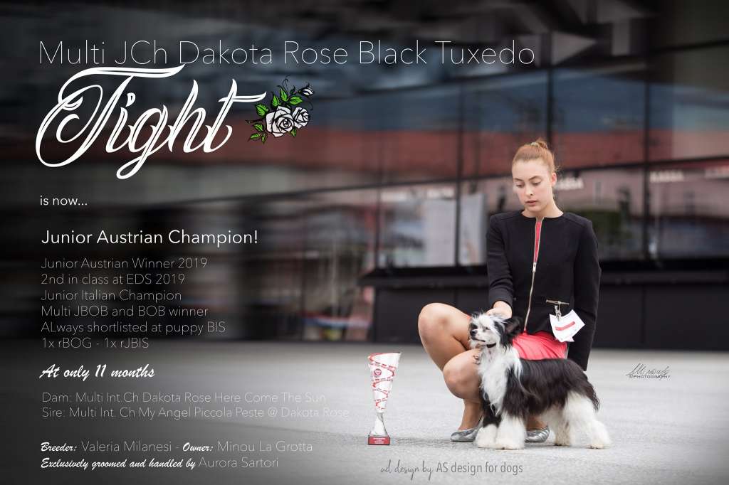 Dakota Rose Black Tuxedo