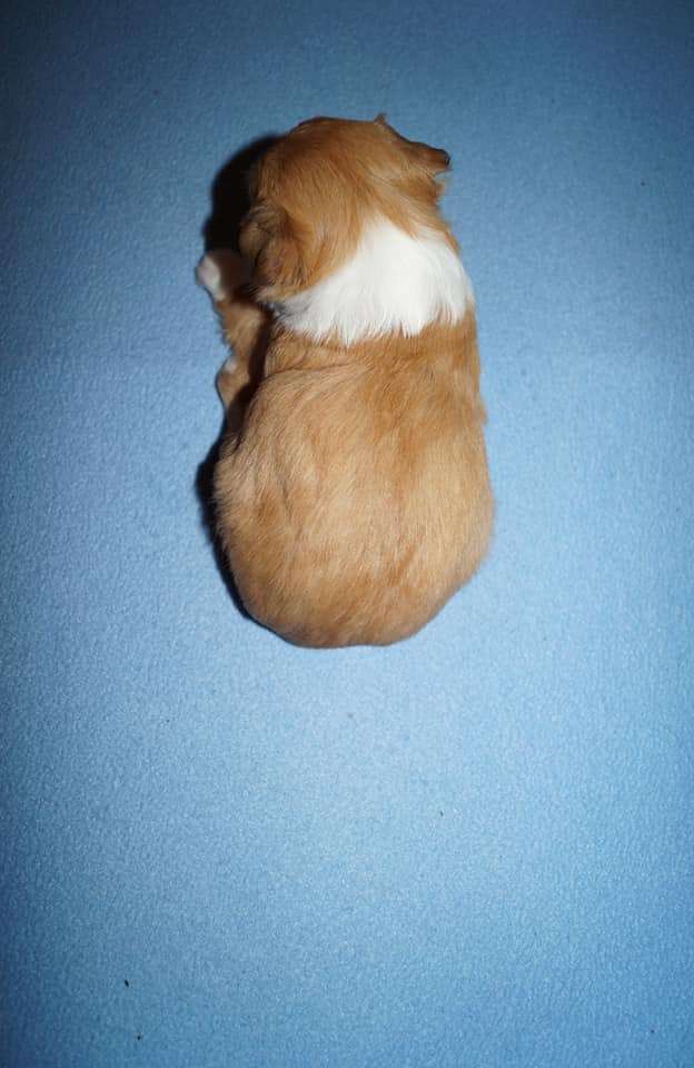 Sun Dan Burning Fire In My Heart