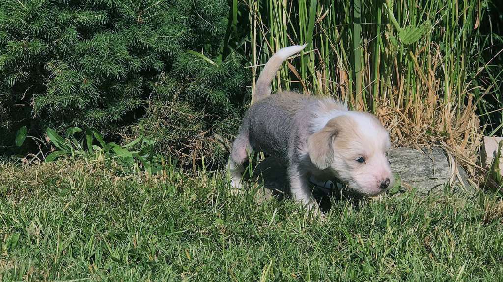 Ksolo Club Yumi Art Yulian