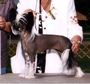 Woodlyn Forever In Bluejeans