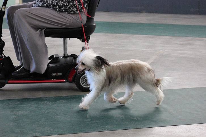 Jhanchi I Want It All For Curnix