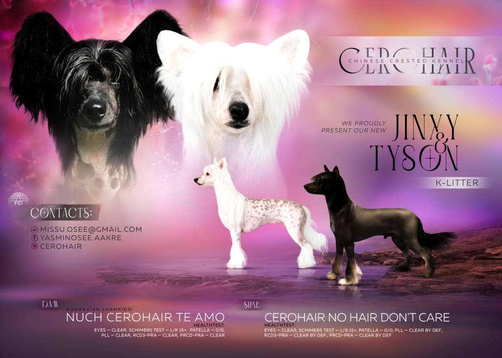 Cerohair K litter