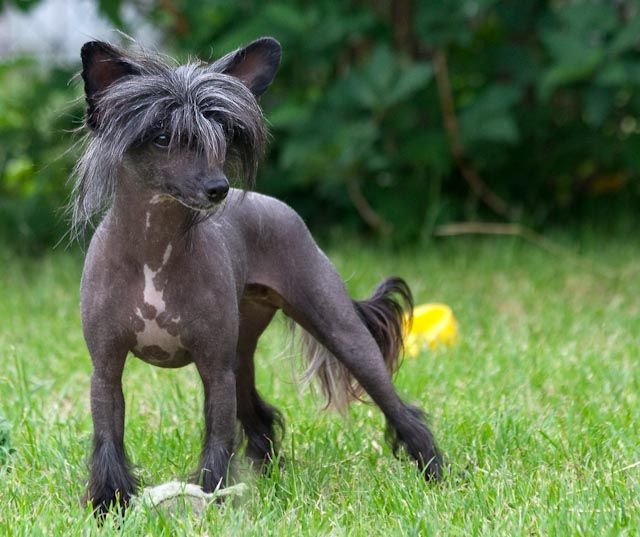 Stars at Sea Follow Me, Boys