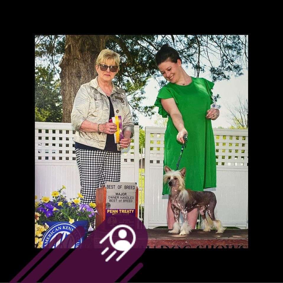 Evercrest's Party On The River At Hollar