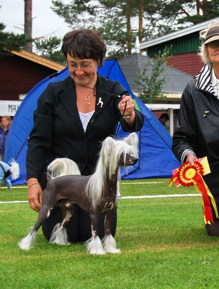 Twice as Nice Everest