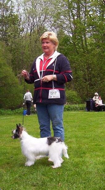 Friaborgs Frankenstein