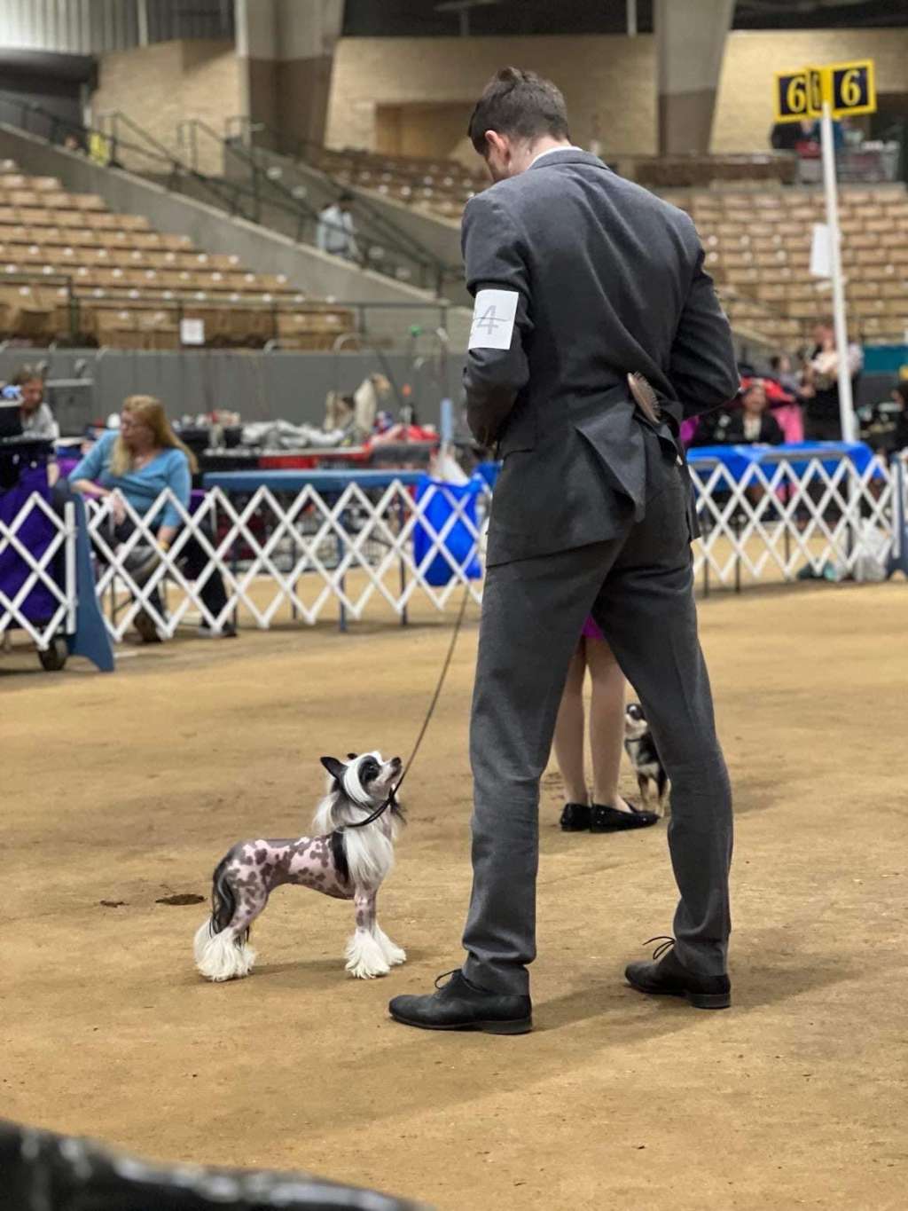 Cristall Dancing With The Stars