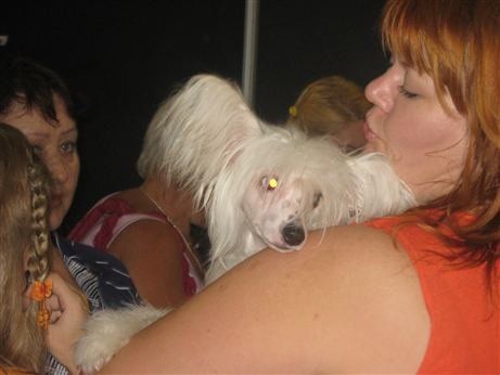 Tamerlan Beshtau Nika Boginja Pobedi