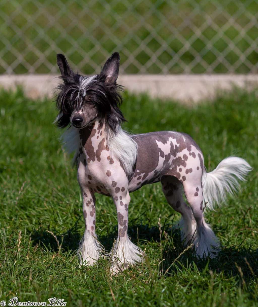 Painted Beauty Winning Smile