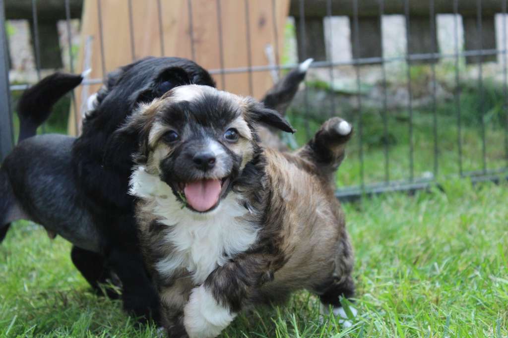 All my life vom Bayrischen Meer