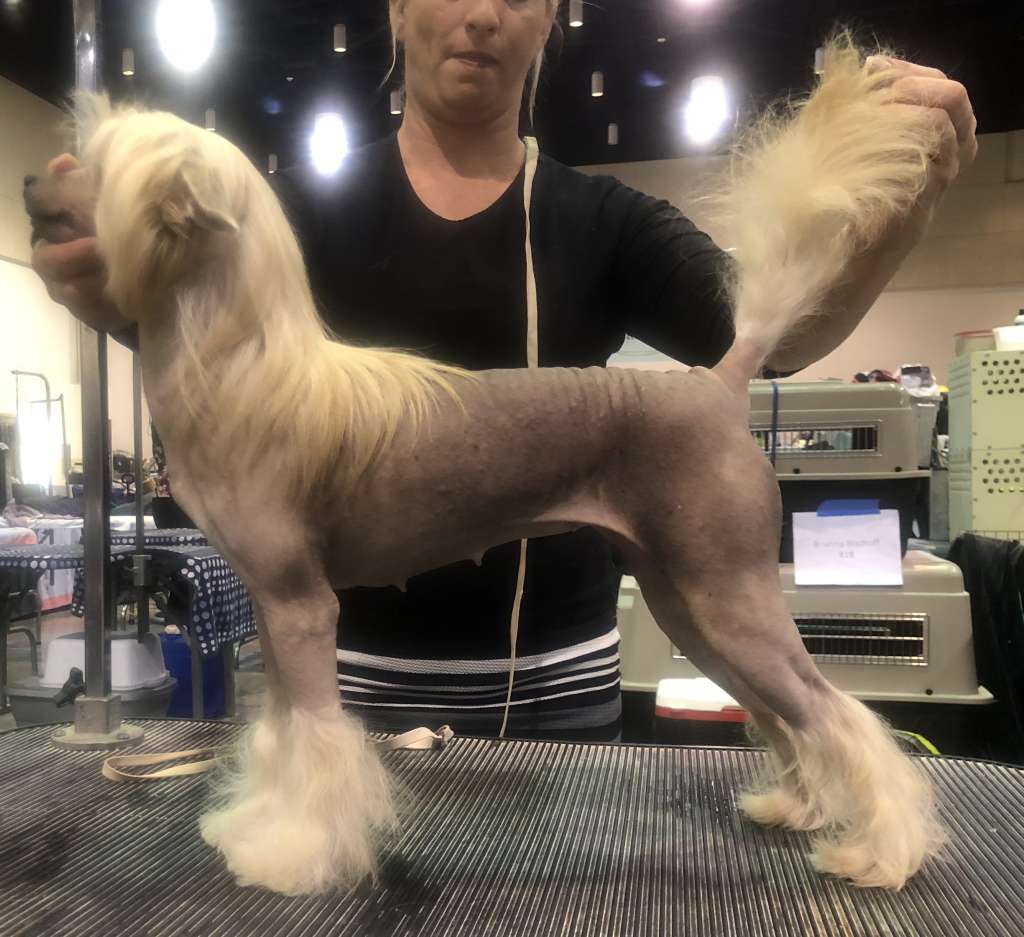 Kalan Bar-none Don?t take Your Love to town