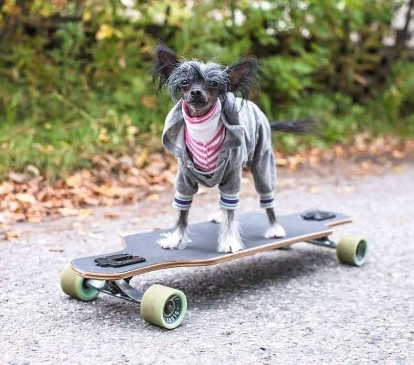 Old Chum's Lost in Space