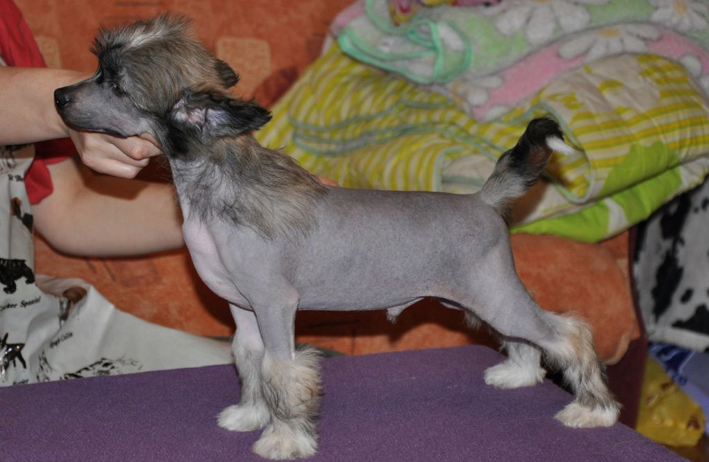 Vintage  Winning Smile