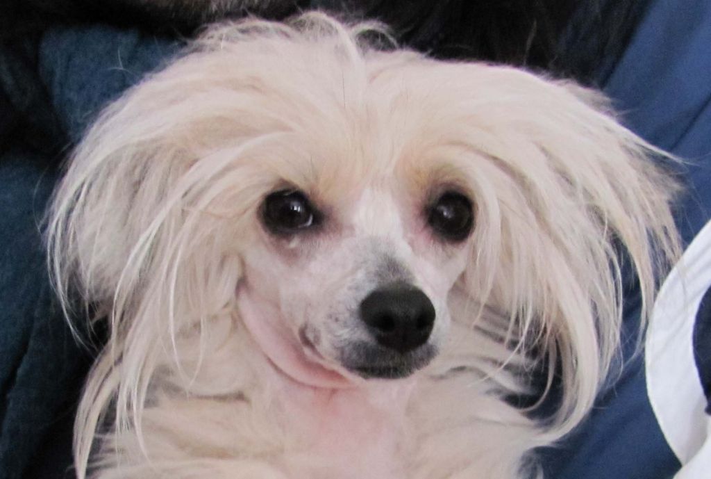 Sun Dan Belive In Love