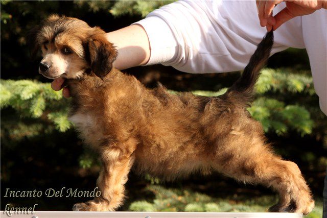 Incanto Del Mondo Ariadna