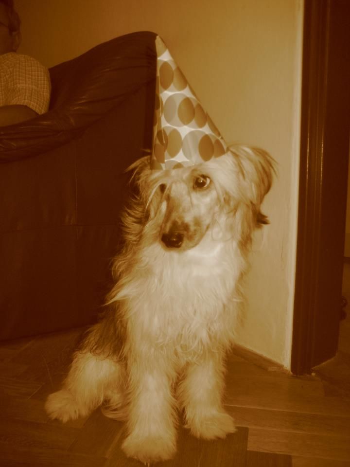 Byron Diamond of the Night