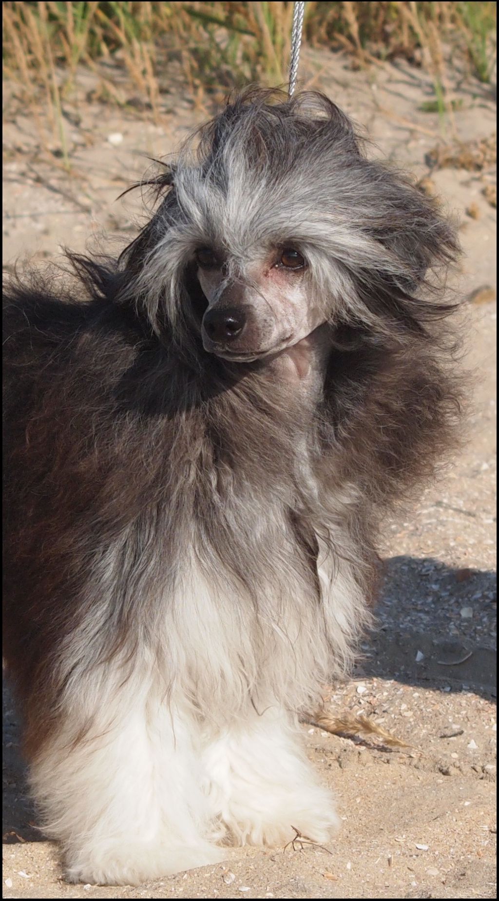 Lionheart Keep The Change