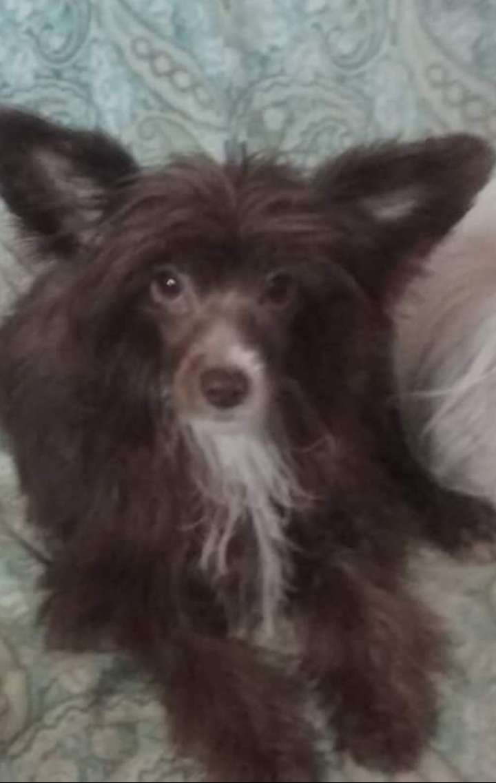 Mistral The Wind Of The Sea