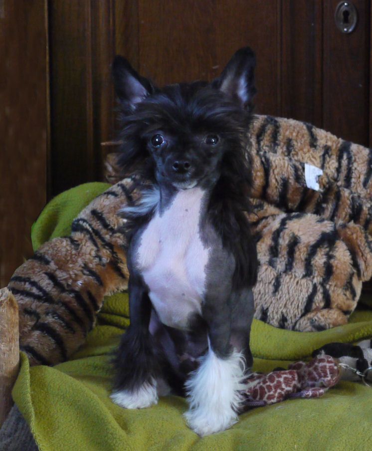 Just For You Little Charmings..