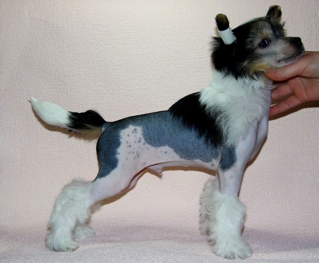 Oks Company  Numero Uno