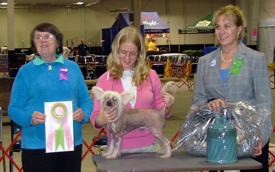 Mstic-Heart Bear Footen