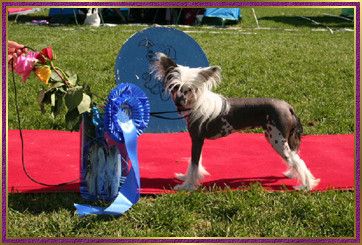 Qu-Ya-va's Mar-mo-rina Sun Mozaic