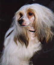 Betuse Babetka Slezsky Sen