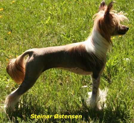 Qu-Ya-Va's C-My-Piruett in  the Sun