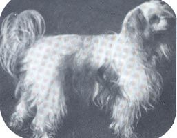 Bao Hua du Gué de Launay