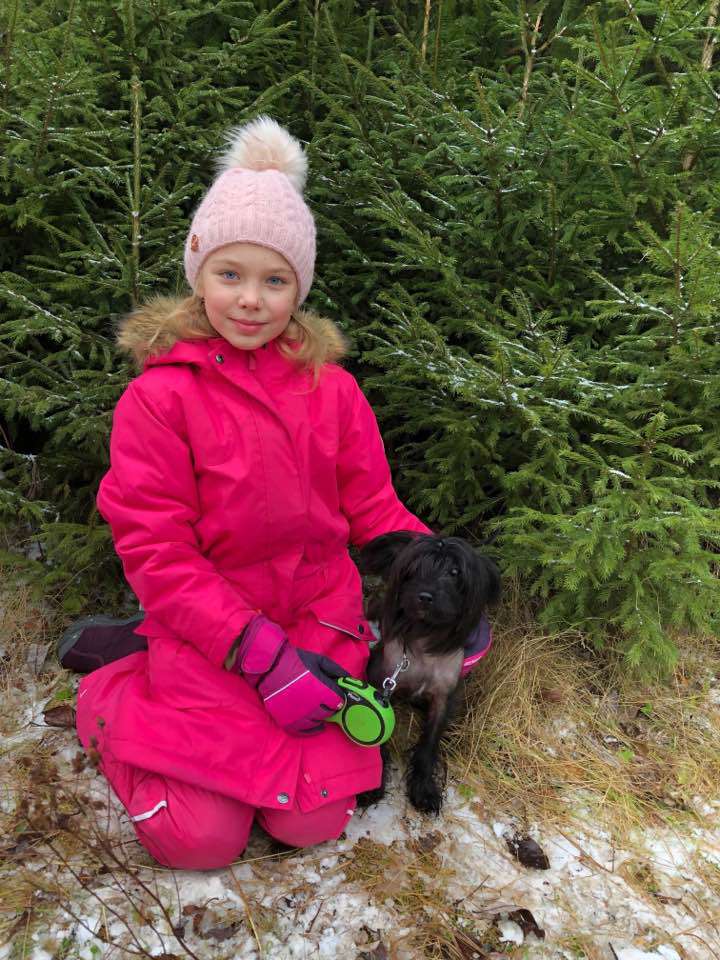 Ins Lucky Star Glintvein