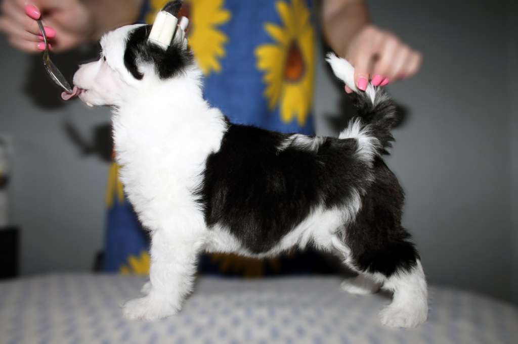 Sempre Con Te Be Happy