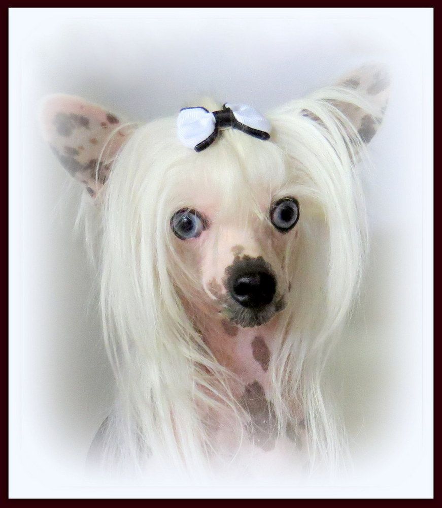 Mstical Price Blue Flame