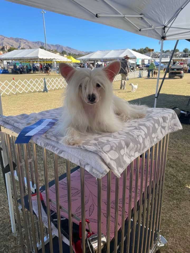 Sol'tanto Infinity Way