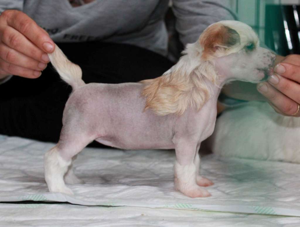 Chattanooga's Johan Pomppas