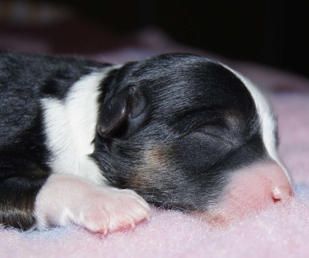 Inspire You  iz Diamond Sity