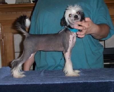 Mosaic I Like it I Luv-It