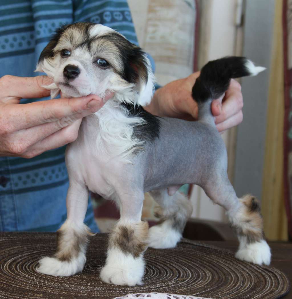 Spartace's Out Of Control