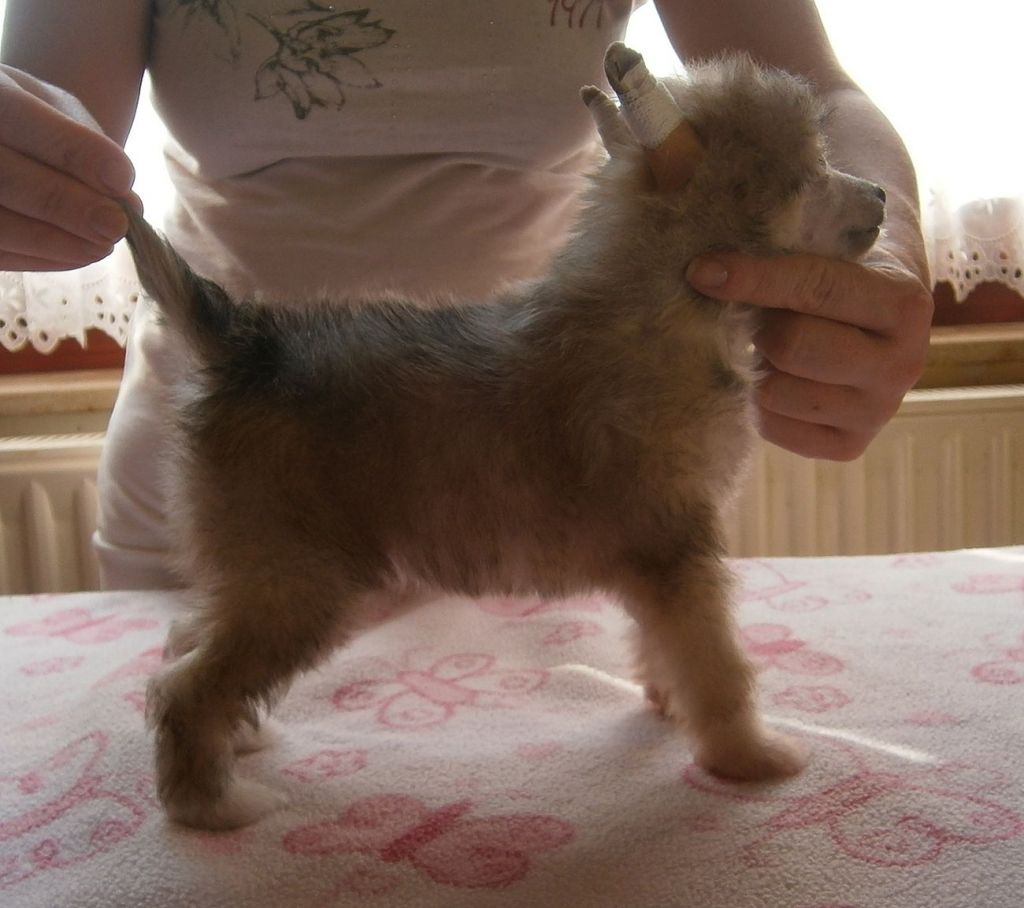 Bailey Baby Mystic Fantastic