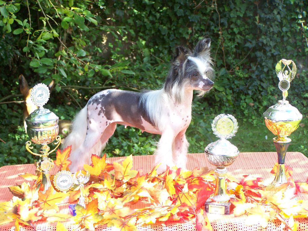 Atlanta von der Vogelsmühle