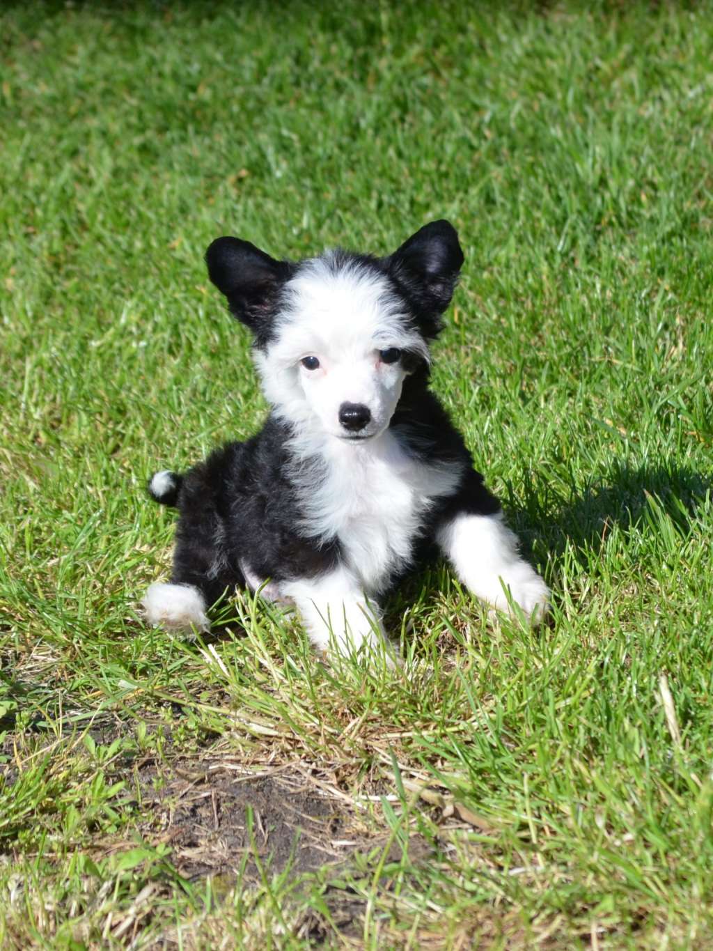 Magic of Success God Never Makes Errors