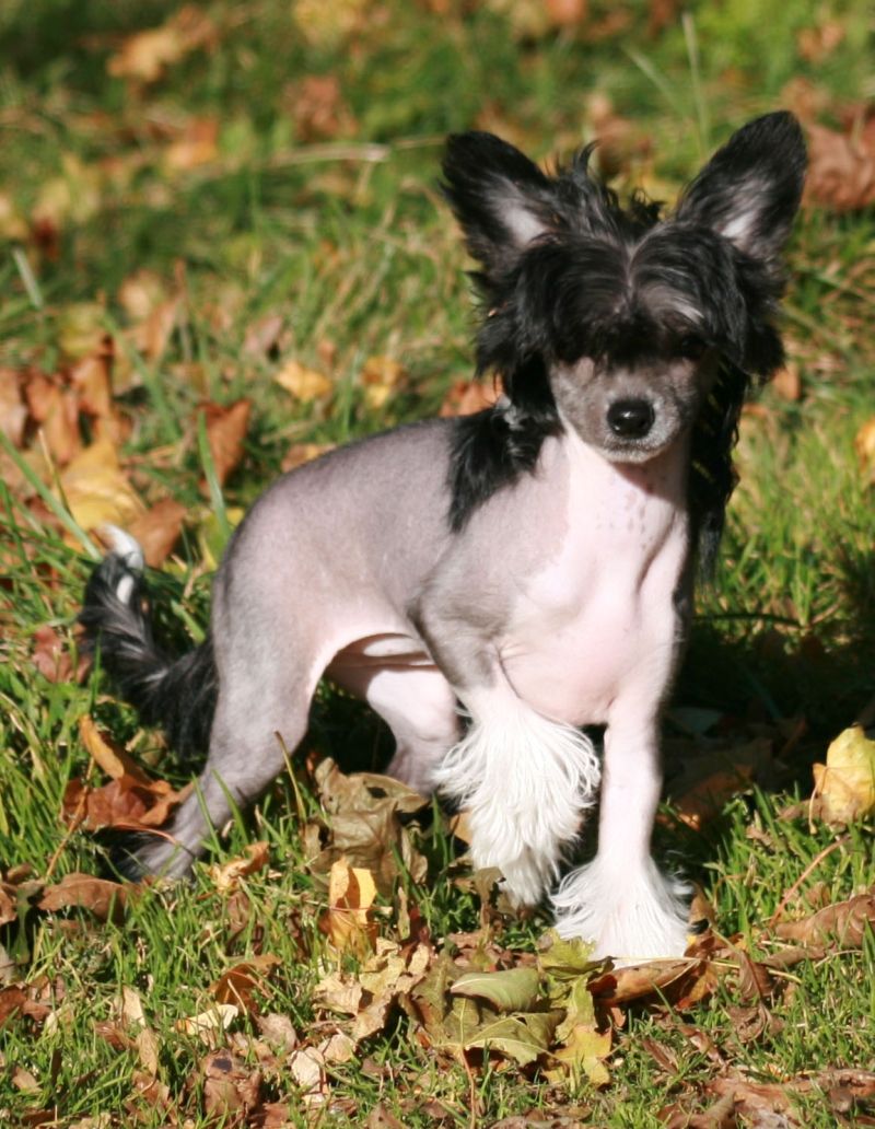 Here I'm Billie Jean Pazzda