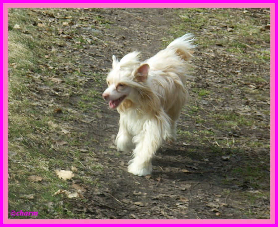 Ann Charmione De La Dubren