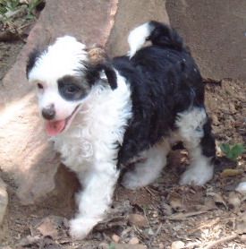 Xioma A Moment In Time