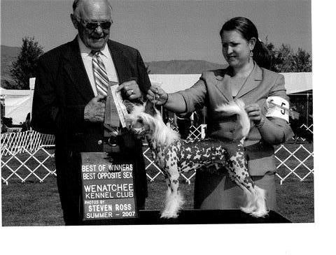 Shaken Itup Gizmo At Kenlarys